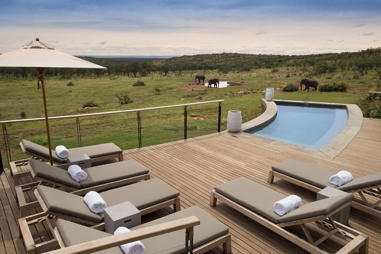 Sonnendeck mit Liegen und Pool, im Hintergrund sind Elefanten in der Graslandschaft,