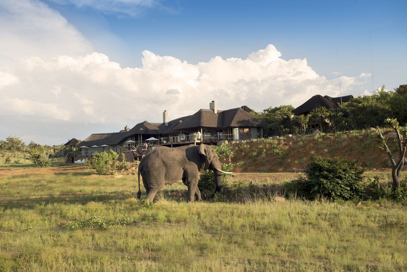 Mhondoro Safari Villa Lodge Familienluxusreisen TheFamilyProject Elefant in Wildnis