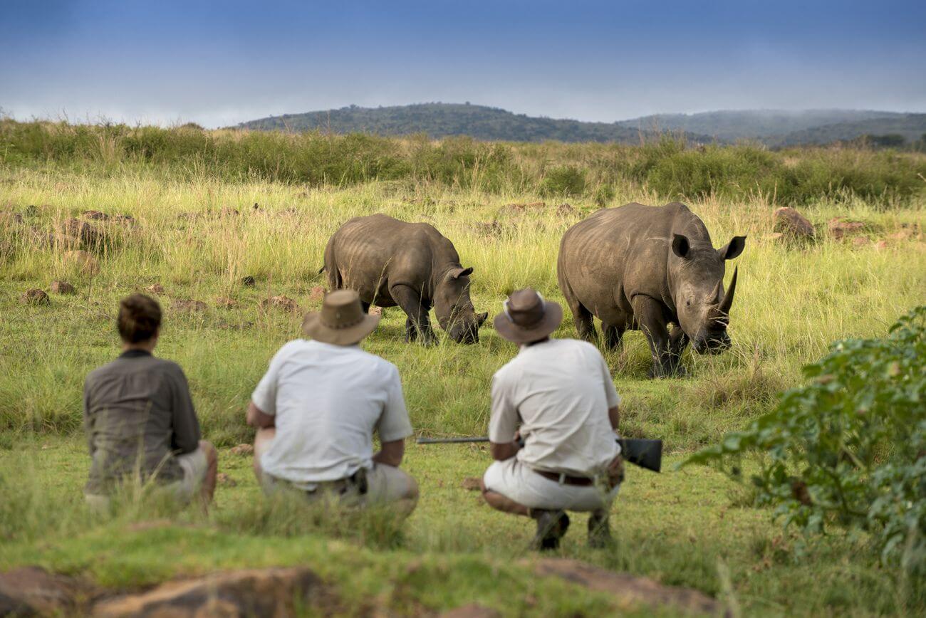Mhondoro Safari Villa Lodge Familienluxusreisen TheFamilyProject Nashörner