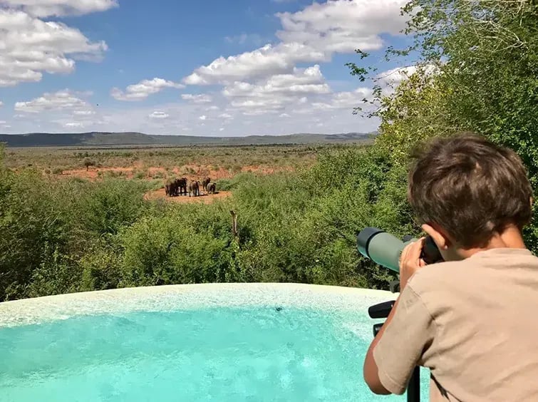 molori safari lodge madikwe sudafrika afrika exklusiv the family project privatbilder safari elefant kind
