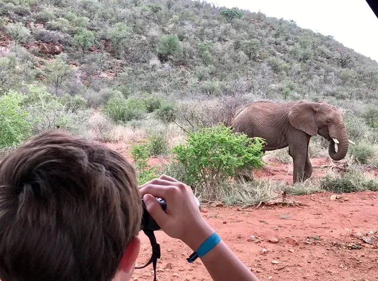 molori safari lodge madikwe sudafrika afrika exklusiv the family project privatbilder safari elefant