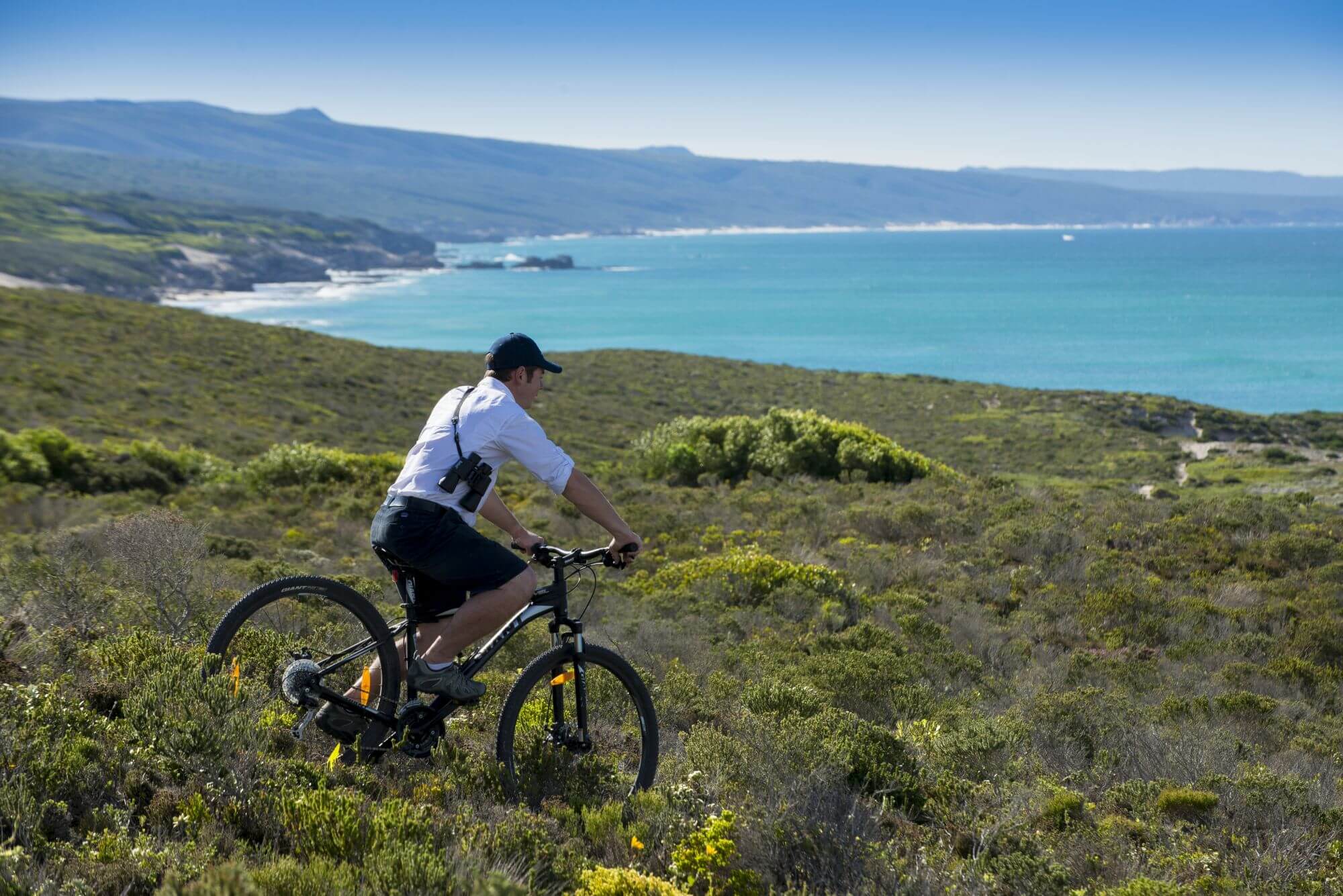 Ein Mann fährt auf einem Fahrrad durch die bewachsenen Dünen am Meer.