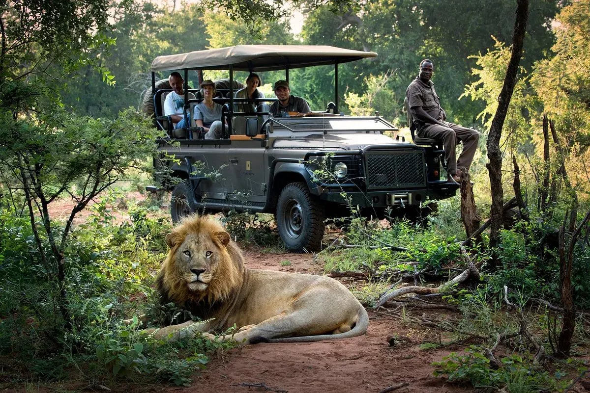 morukuru family madikwe safari