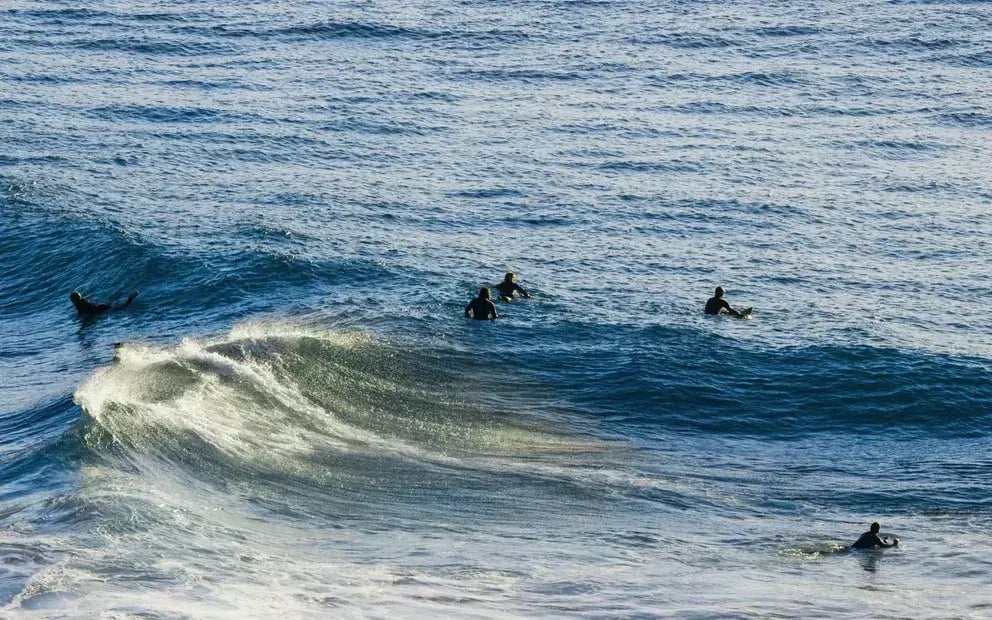 one and only capetown surfen