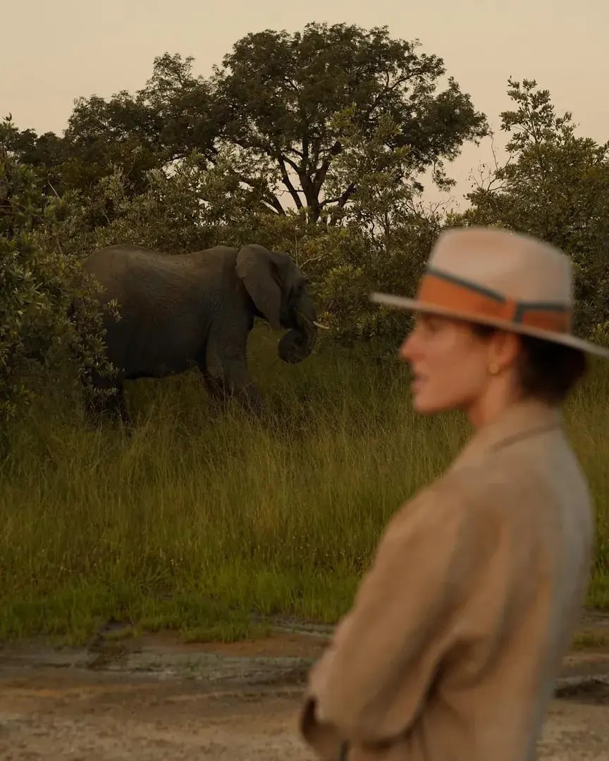 Eine Frau auf Safari steht nicht weit entfernt von einem Elefeanten.