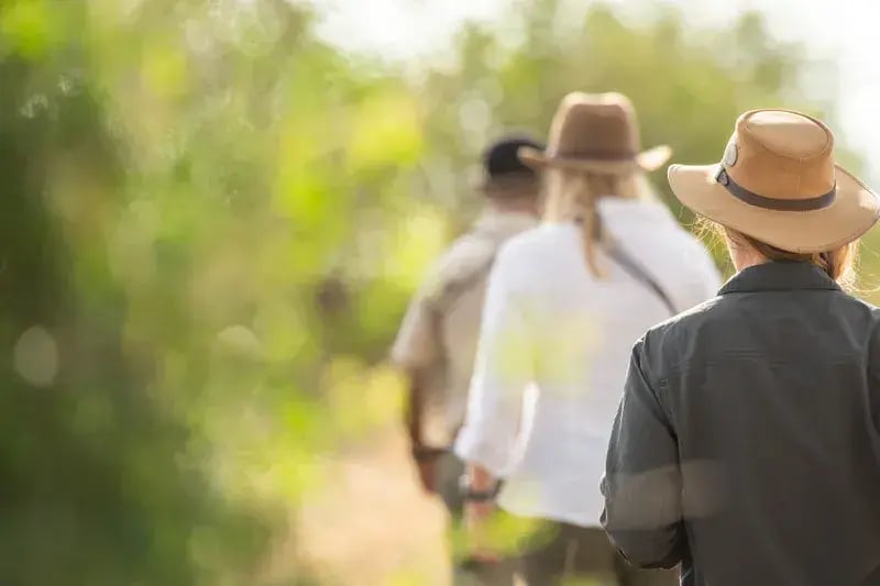 singita ebony lodge wandern