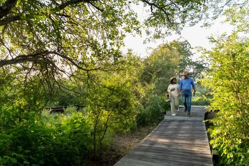 singita lebombo lodge suedafrika nature