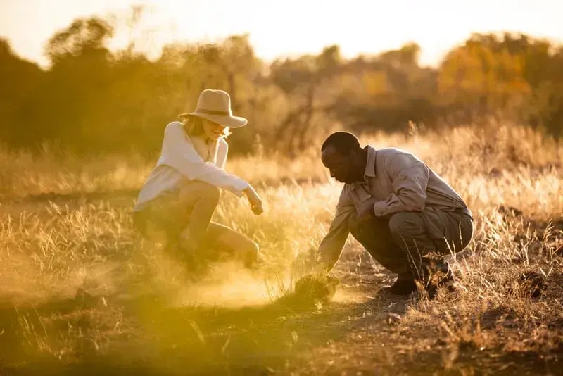 singita sweni lodge suedafrika learning