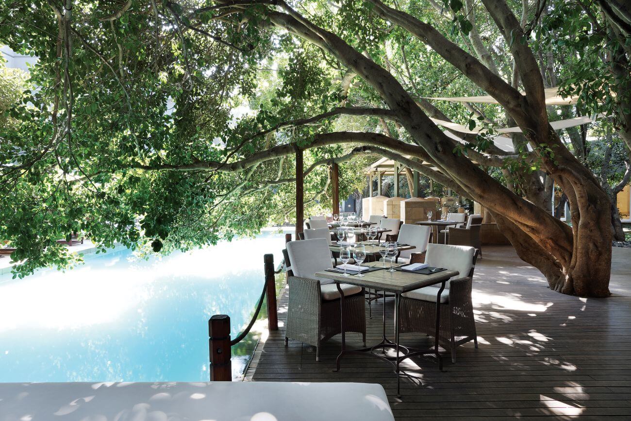 Ein Restaurant im Freien, Tische stehen unter einem Baum, direkt am Wasser.