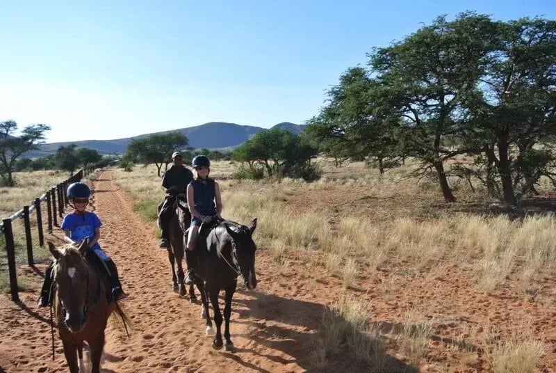 tswalu-kalahari-sudafrika-afrika-privatbild19