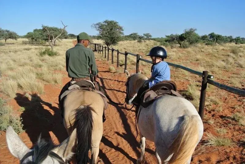 tswalu-kalahari-sudafrika-afrika-privatbild7