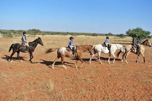 tswalu kalahari sudafrika afrika exklusiv the family project privatbilder reiten pferde