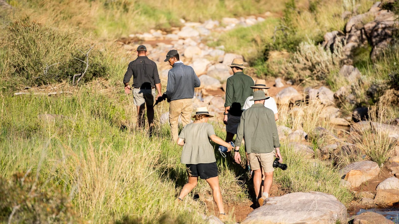 Sechs Touristen unternehmen einen Bushwalk über Stock und Stein.