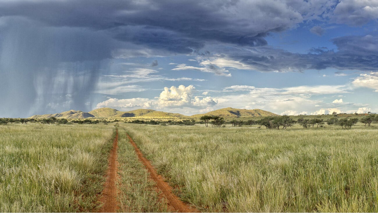 Tswalu-Kalahari-Suedafrika-Suedafrika-als-Familie-Regen