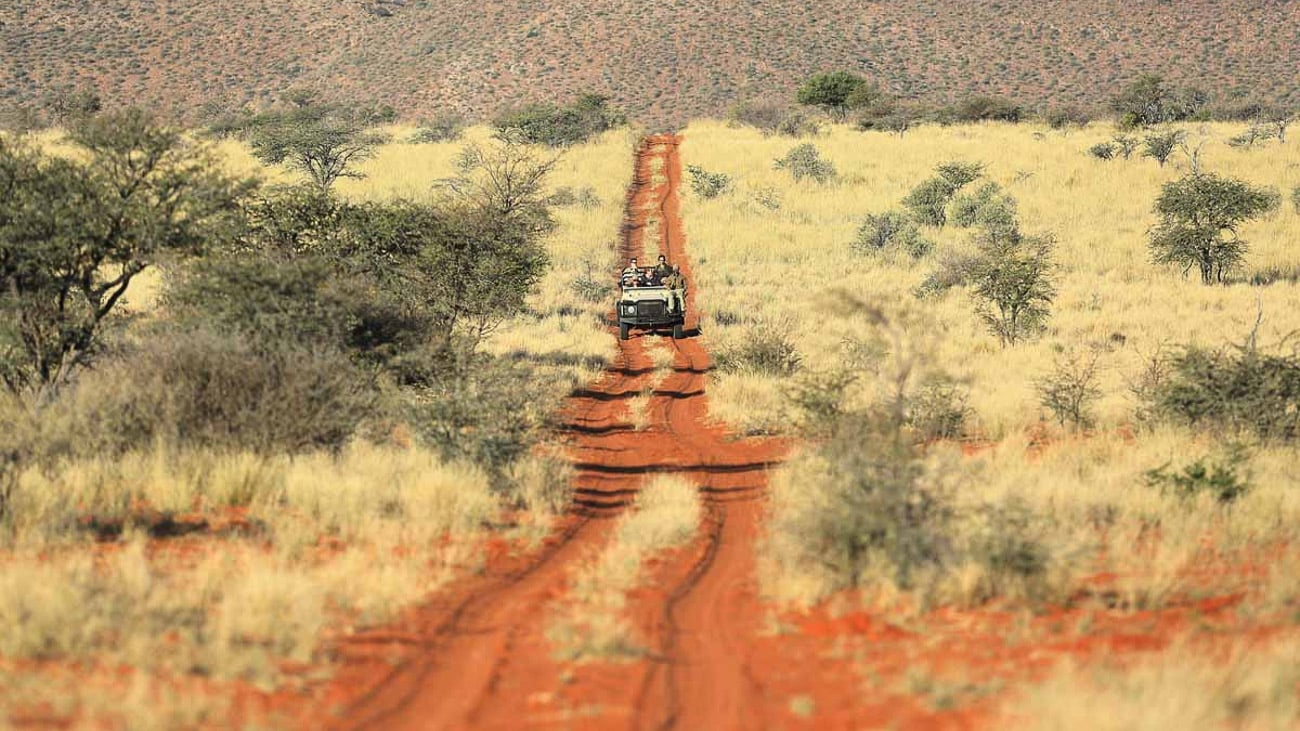 Ein Jeep fährt über den roten Sand der Kalahari.