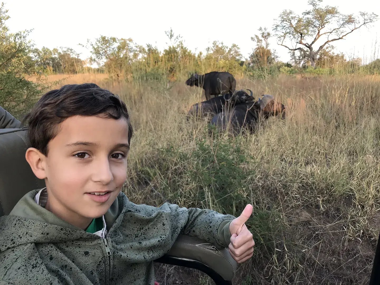 ulusaba sudafrika familienluxusreise buffel