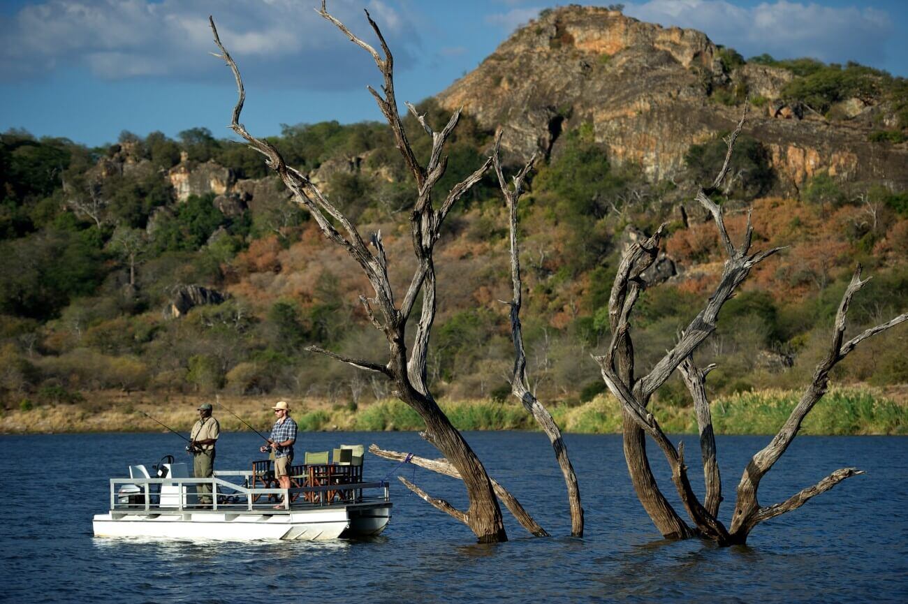Bootssafari vorbei an einem abgestorbenen Baum, der unter Wasser steht.