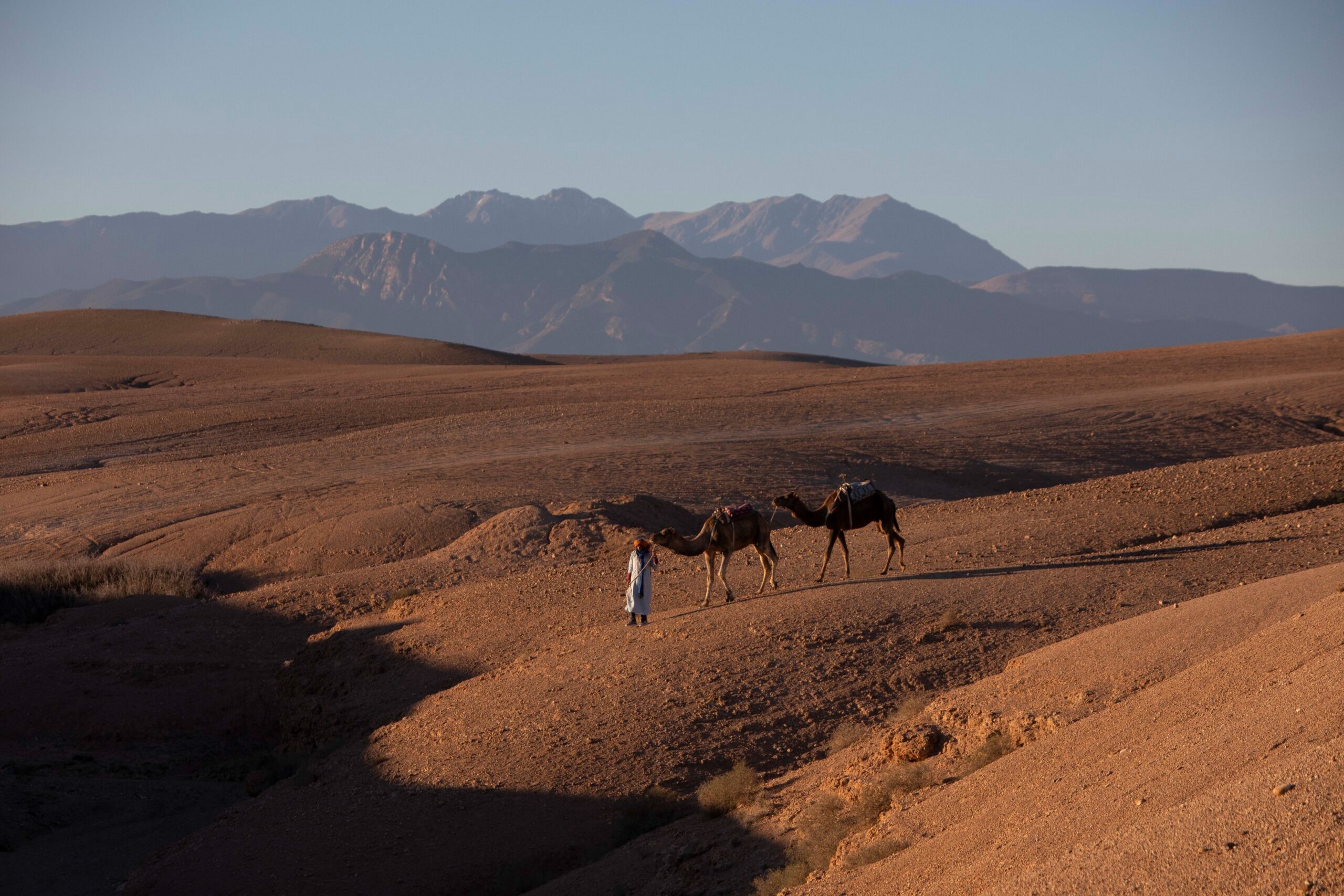 inara-camp-marokko-familienluxusreise-thefamilyproject-kamel