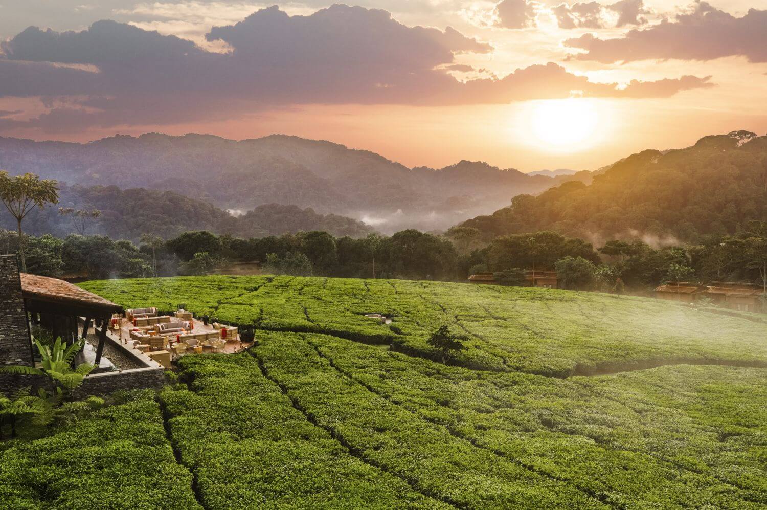 OneOnly-Nyungwe-House-Ruanda-Familienluxusreisen-Landschaft