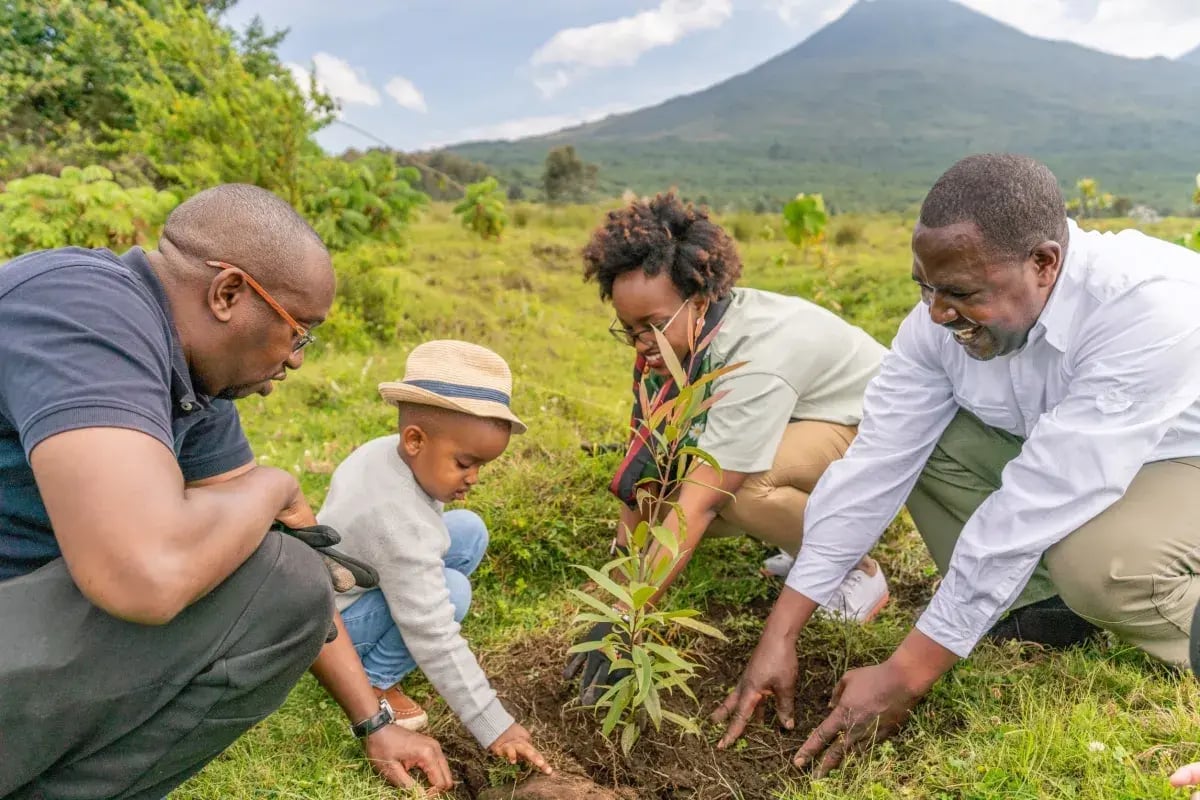signita kwitonda ruanda pflanzen
