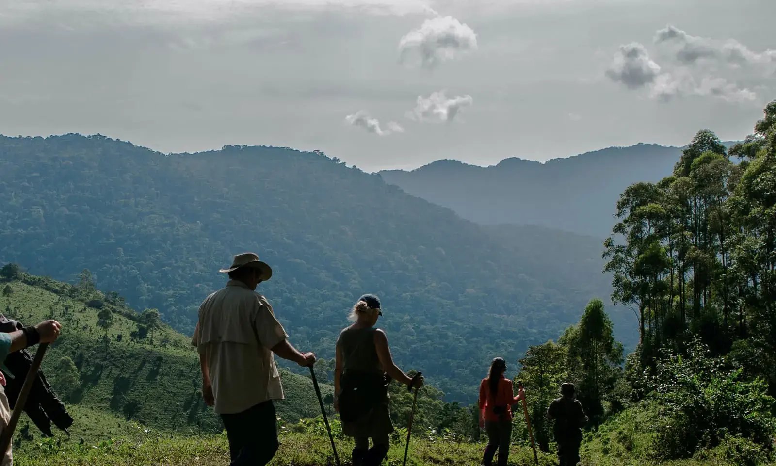 Eine Gruppe Touristen wandert mit einem Guide durch die Landschaft Ugandas.