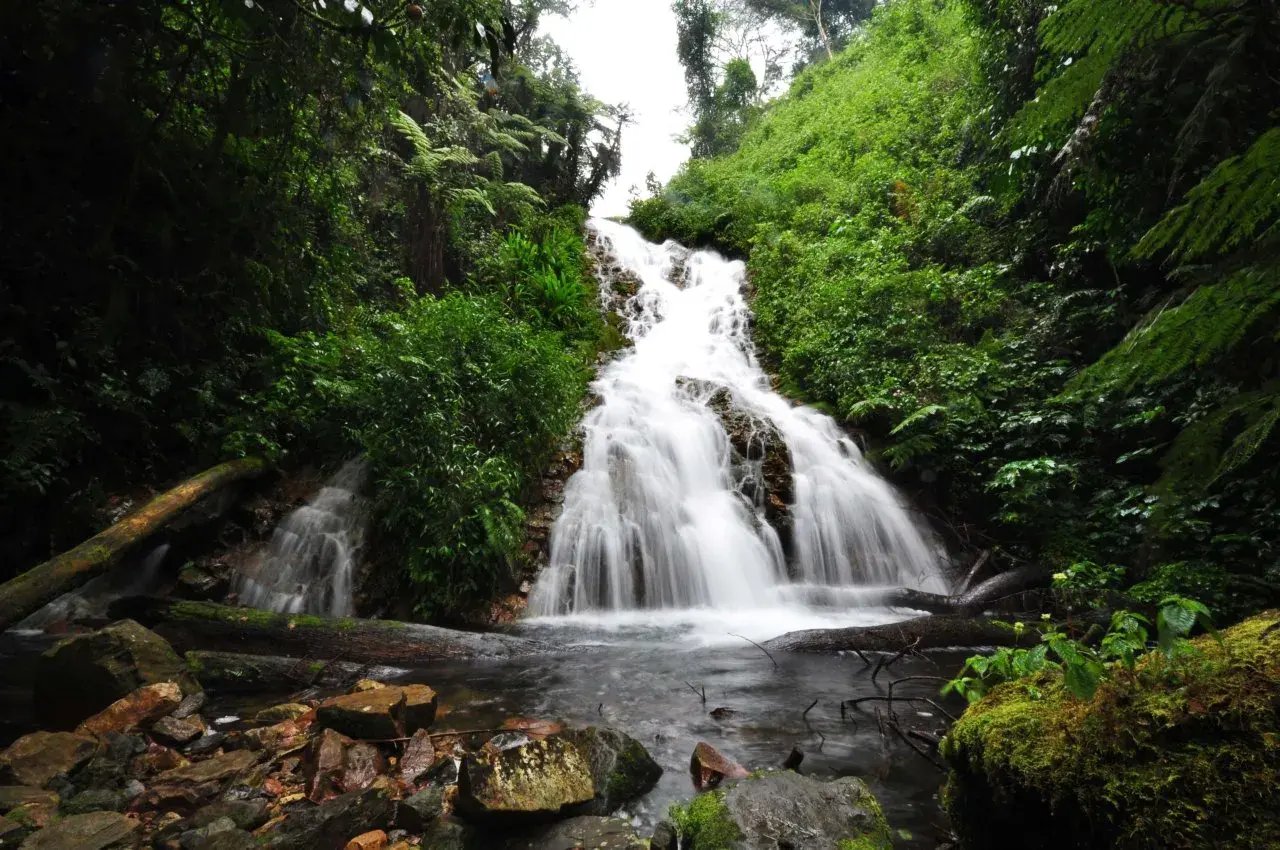 Wasserfall in einem Dschungel.