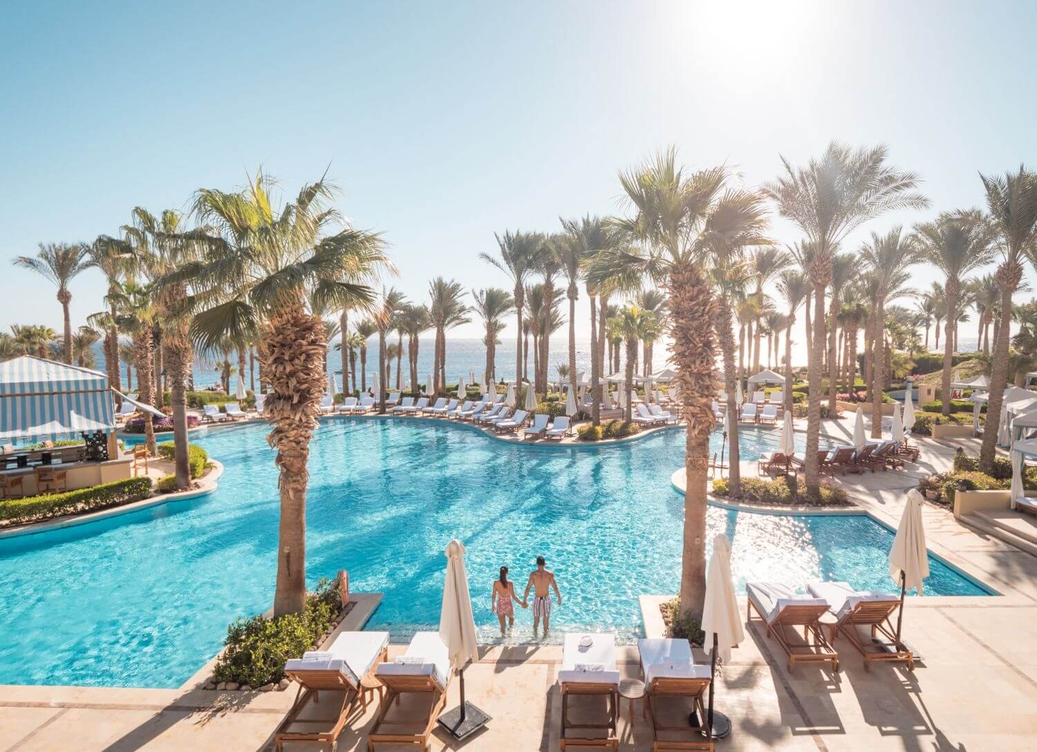 four-seasons-shram-el-sheikh-familienluxusreise-thefamilyproject-pool-palmen