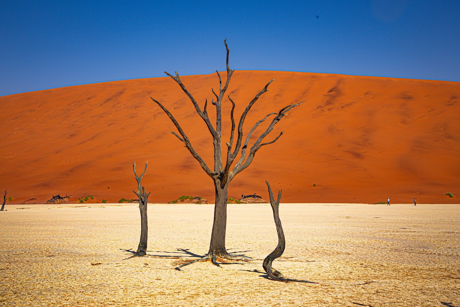 Dead Vlei