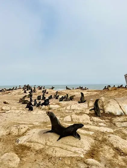 hoanib-skeleton-coast-camp-skeleton-coast-namibia-afrika-the-family-project-famil-kopie-16