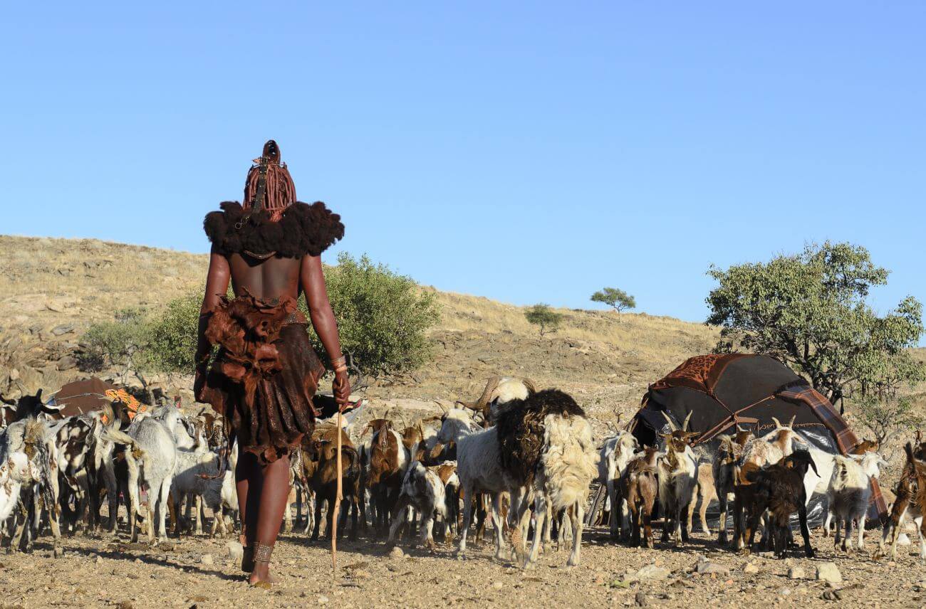 Eine Himba-Frau in Namibia hütet eine Ziegenherde.