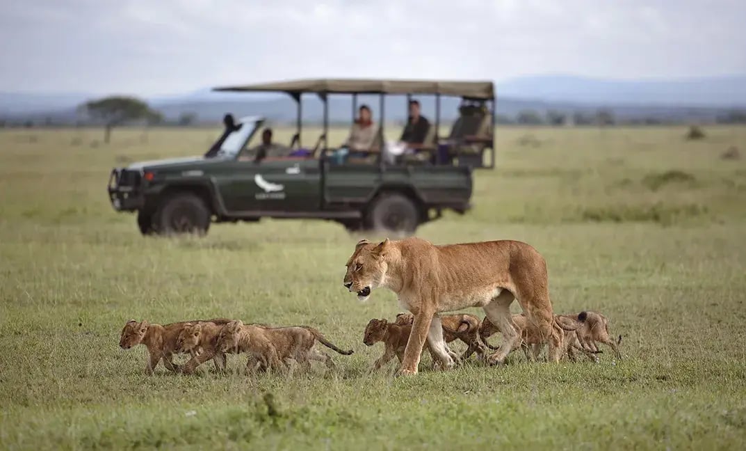 andbeyond-grumeti-serengeti-river-lodge-reserve-tansania-afrika-safari-exklusi-kopie