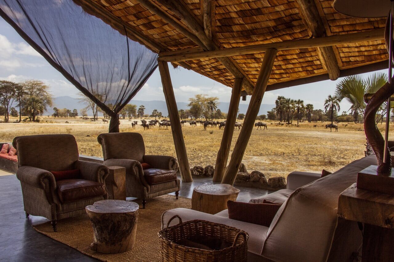 Überdachte Terrasse mit vielen Sitzgelegenheiten, in der Nähe ist eine Herde Gnus.