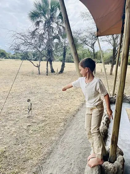 chem chem lodge tarangire tansania afrika exklusiv the family project privaterbilder kind affe