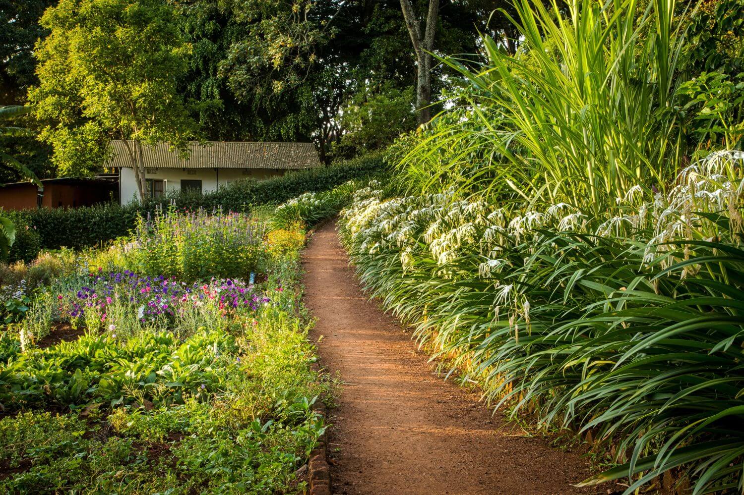 Ein Naturpfad verläuft durch einen blühenden Garten.