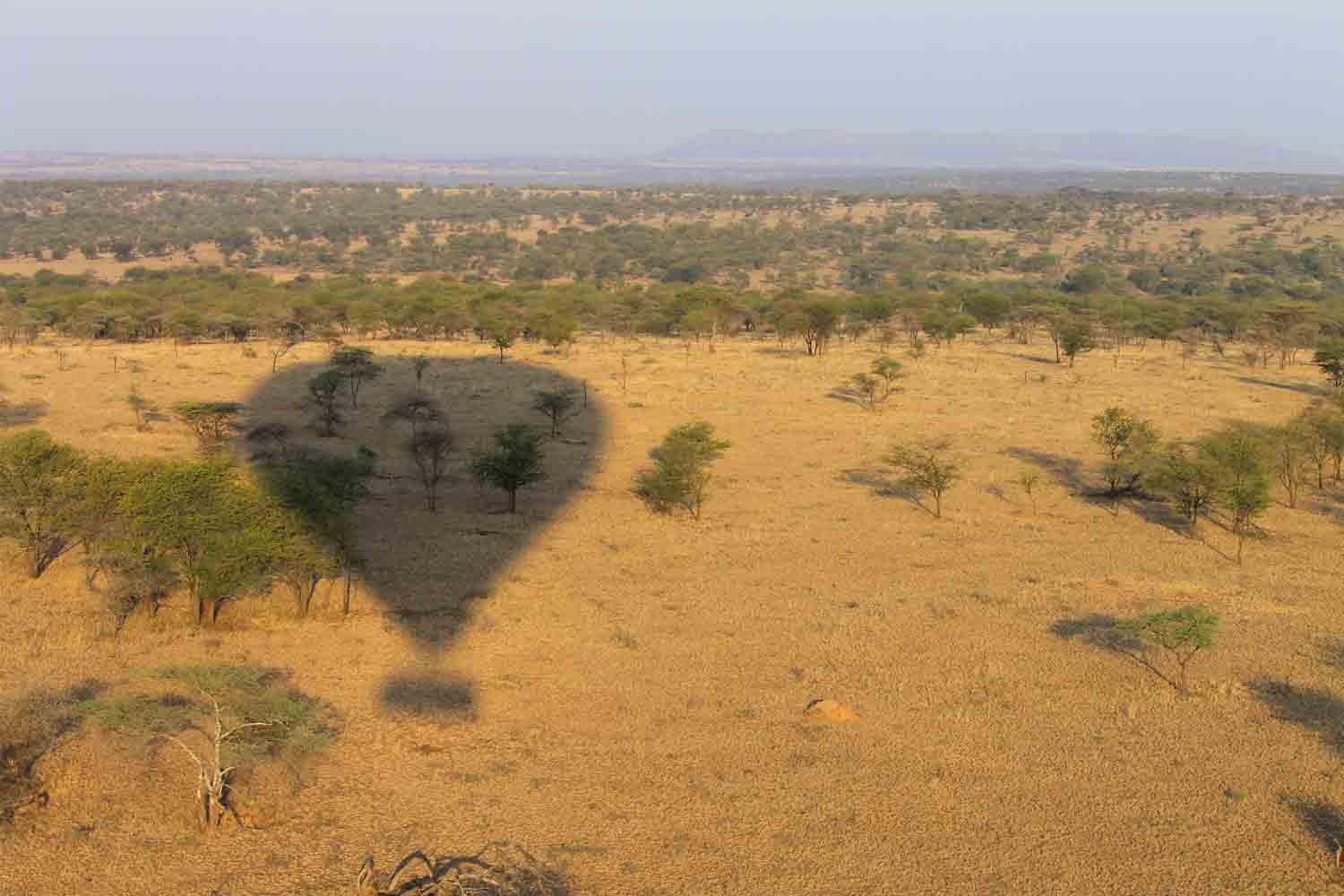 Der Schatten eines Heißluftballons ist über der Serengeti zu sehen.