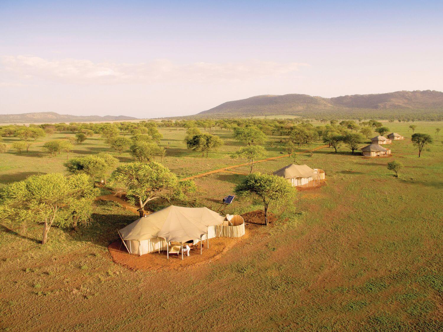 Safari Camp in der Wildnis aus der Vogelperspektive.