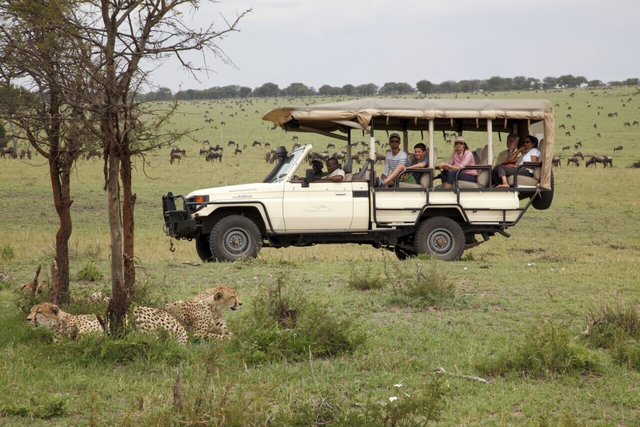 Eine Safarijeep mit Gästen ist in der Savanne unterwegs.