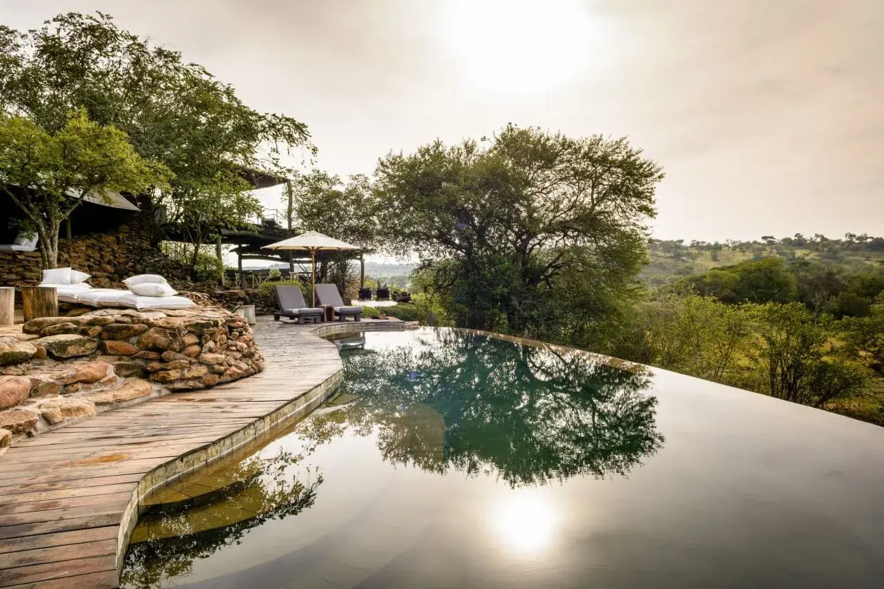 Ein Baum spiegelt sich in einem Infinity-Pool, am Rand stehen Liegen.