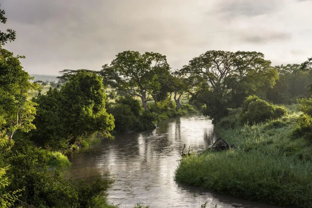 singita faru faru lodge river view