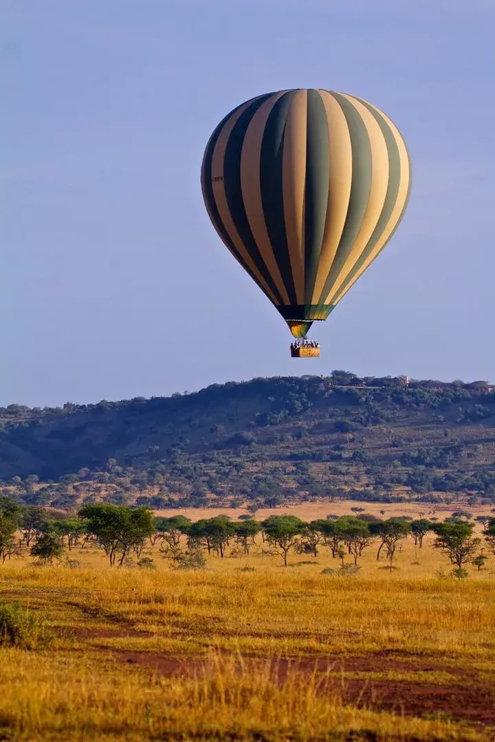 singita sasakwa 17