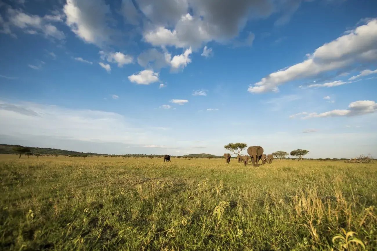 singita sasakwa 23