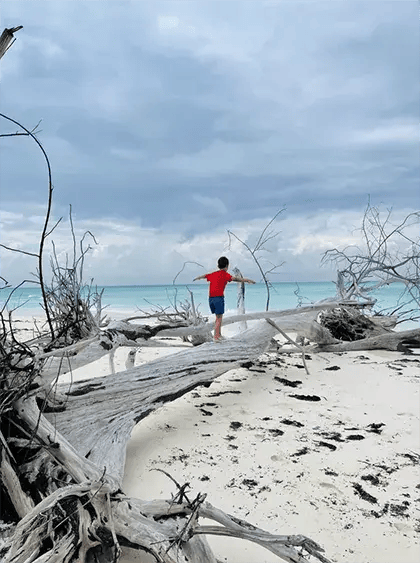 2 andbeyond mnemba island lodge zanzibar sansibar afrika privatbilder kind strand schwemmholz