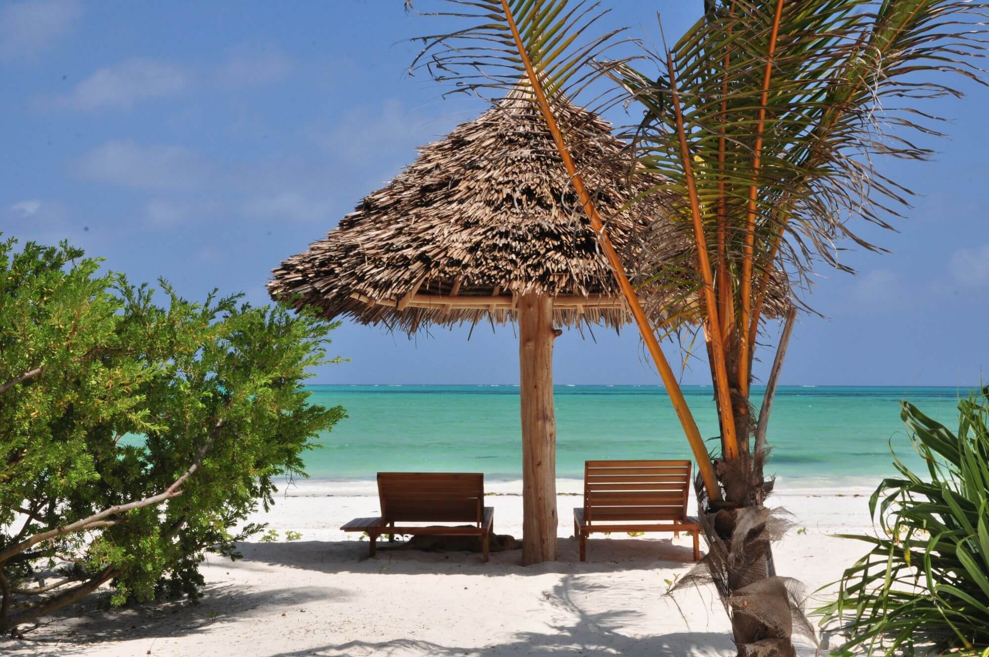 Zwei Sonnenliegen unter einem Natur-Sonnenschirm an einem Privatstrand.