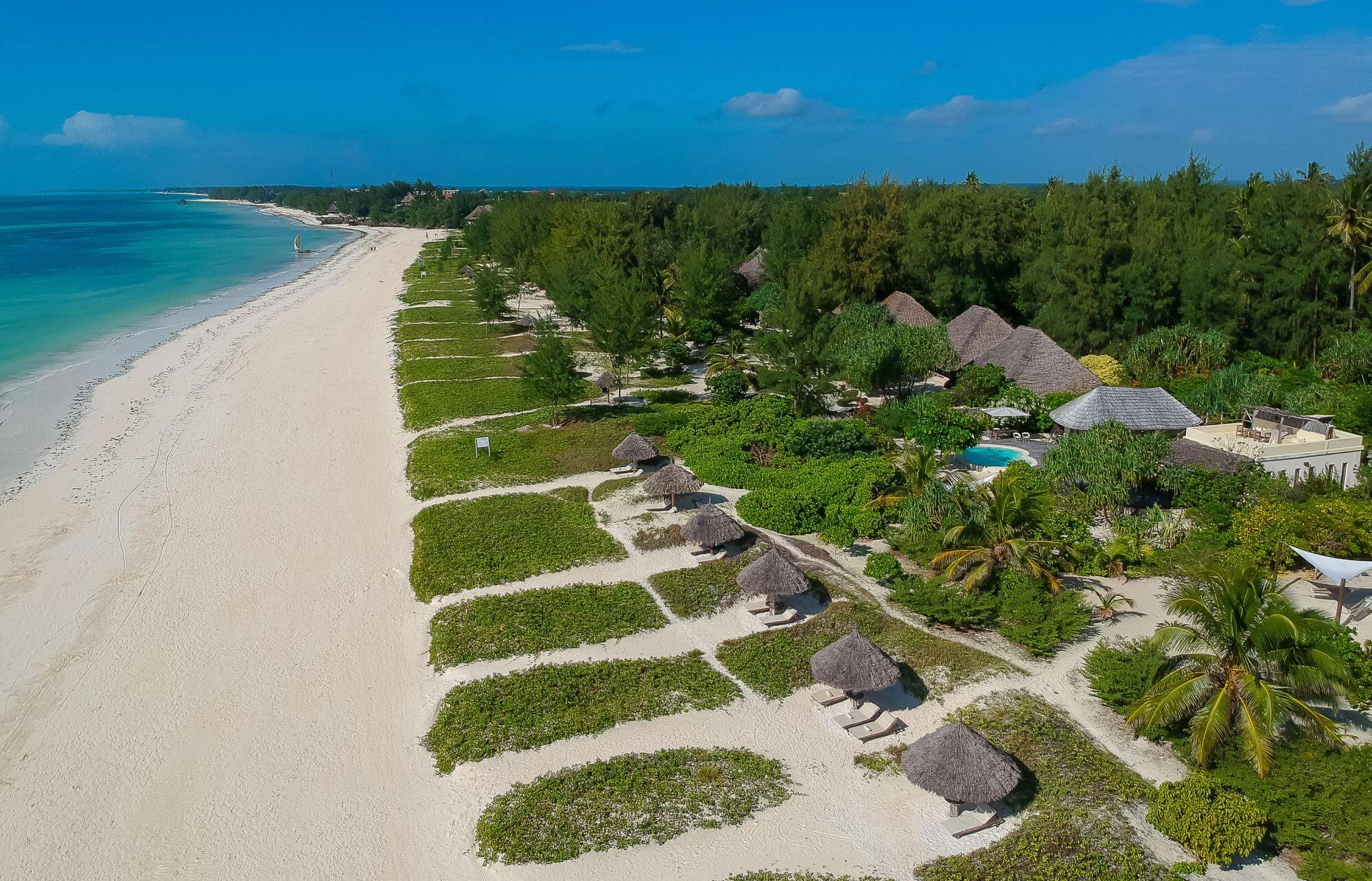 Lodge am Strand von Sansibar mit üppiger Vegetation aus der Vogelperspektive.