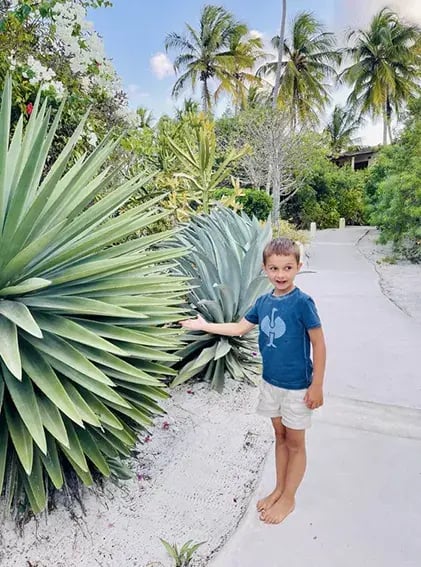 zanzibar white sand luxury villas spa sansibar afrika exklusiv the family project kind pflanzen