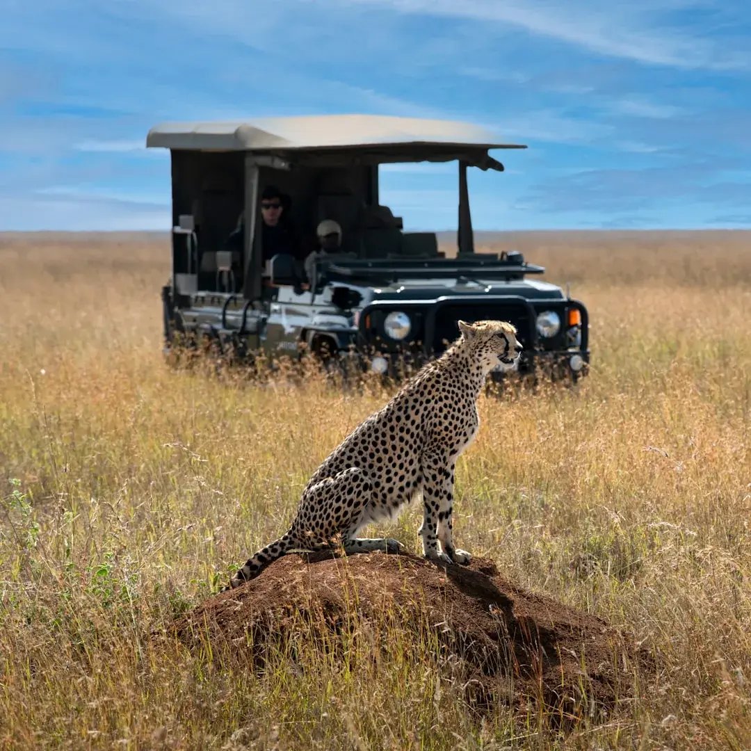 suyian-lodge-kenia-familienluxusreise-thefamilyproject-game-drive