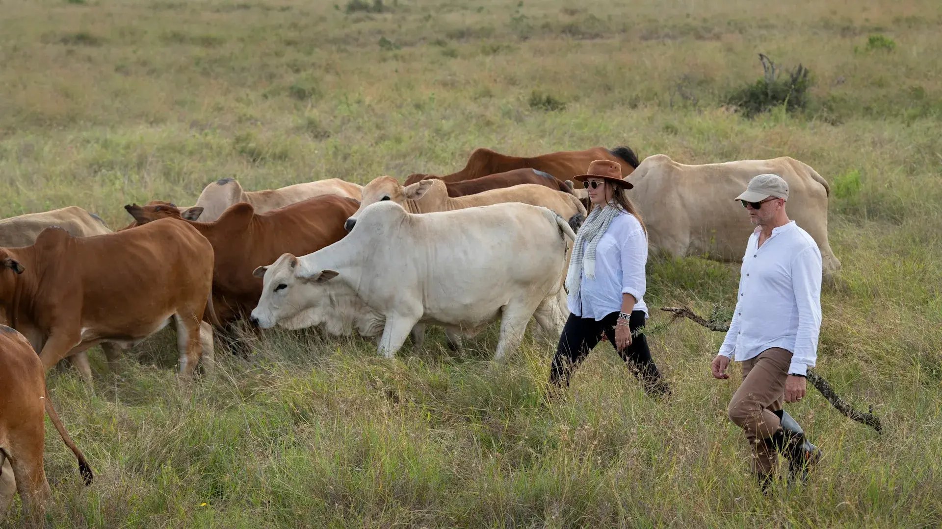 suyian-lodge-kenia-familienluxusreise-thefamilyproject-rinder