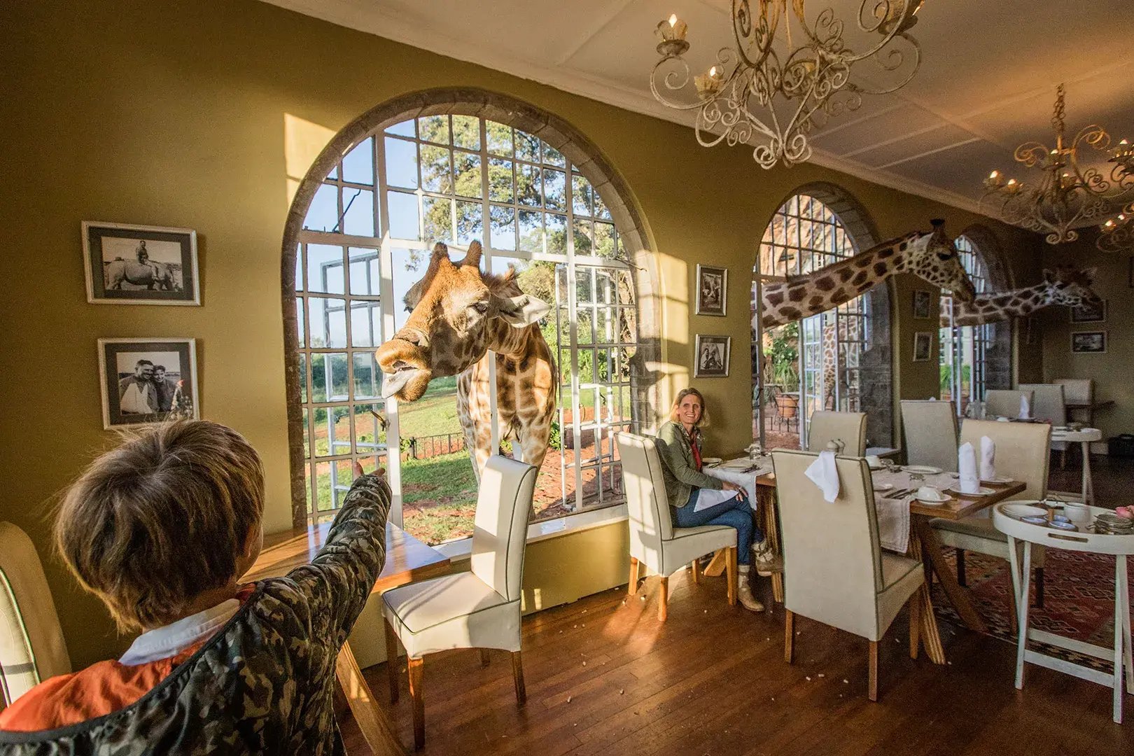 giraffe manor hotel kenia afrika the family project luxus giraffen essen kinder futtern