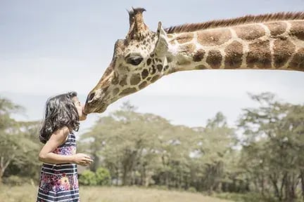 giraffe manor hotel kenia afrika the family project luxus giraffen kind kuss