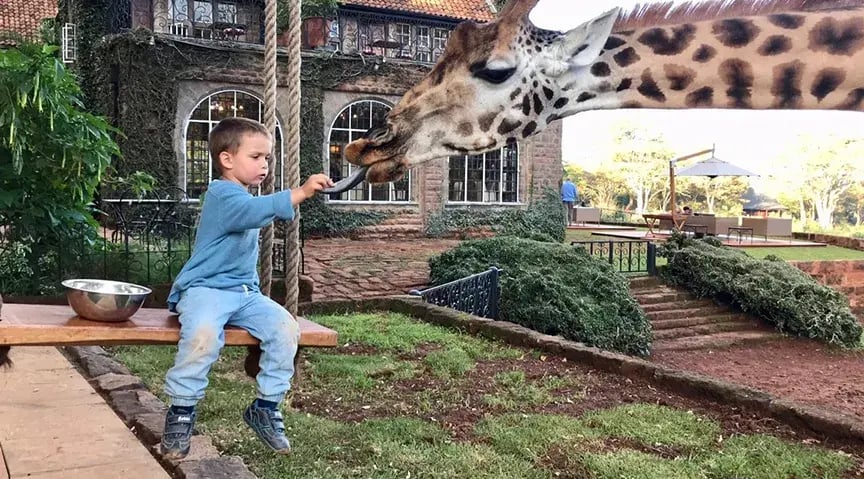 1giraffe manor hotel kenia afrika the family project luxus giraffen kind